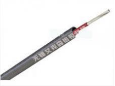 電伴熱集膚效應/管道集膚伴熱系統(tǒng)